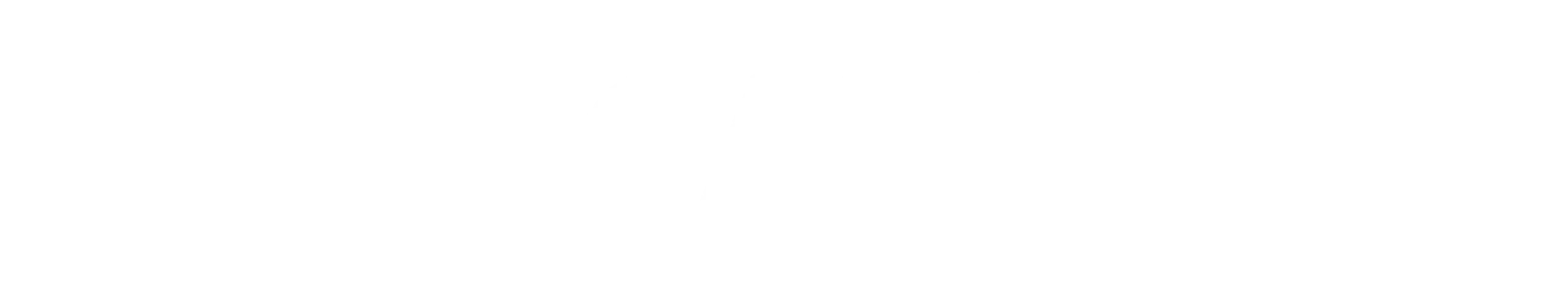 DuChateau-logo-white (3)