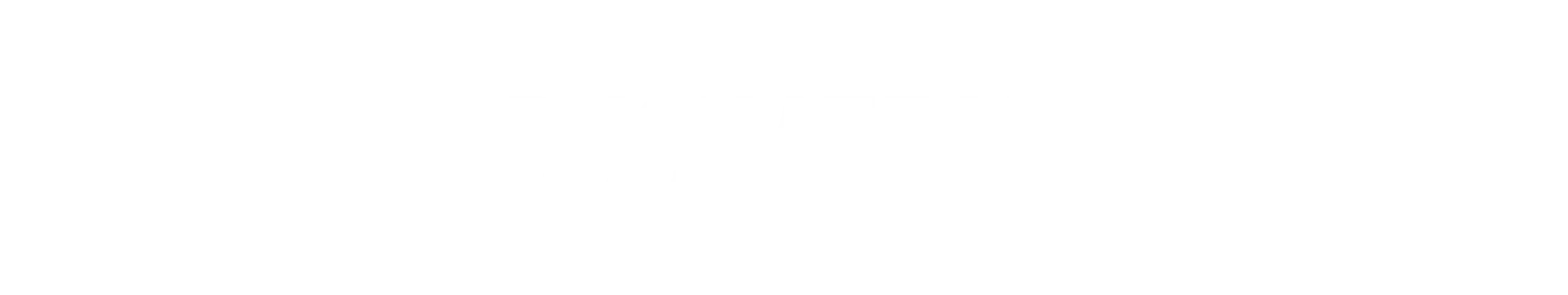 DuChateau-logo-white (5)